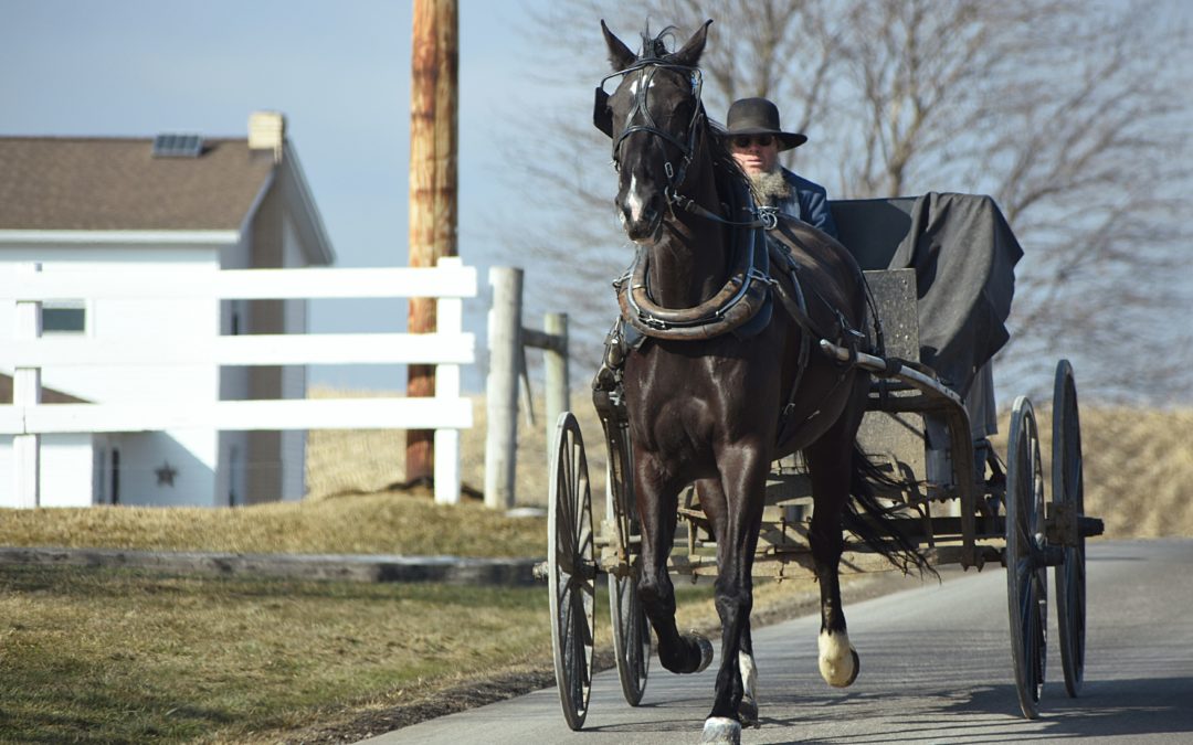 Idée reçue n°32 : “vous êtes devenus Amish ou un truc comme ça !”